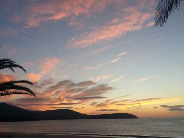 Introducción a la no ficción&nbsp;creativa